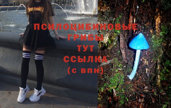 первитин Гусь-Хрустальный