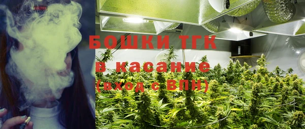 прущие крисы Гусиноозёрск