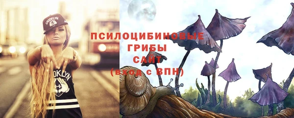 прущие крисы Гусиноозёрск