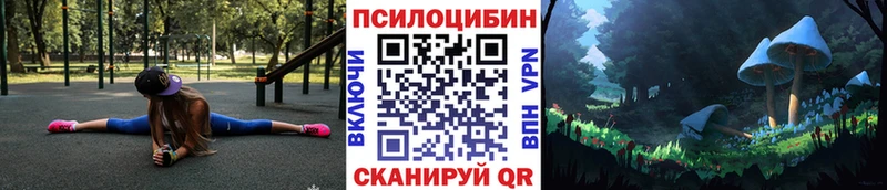 Купить где  Колпашево  Псилоцибиновые грибы Psilocybe 